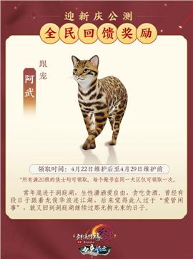 人气好天龙八部私服